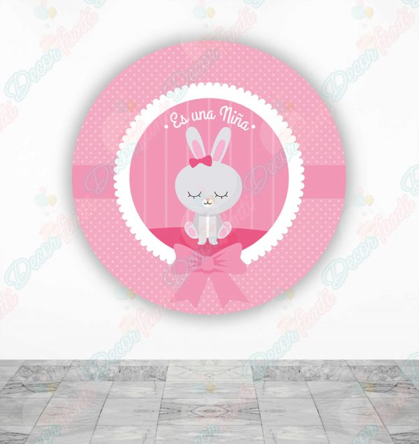 Baby Shower Coneja